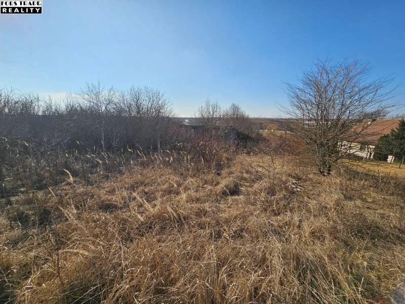 20250303_144249.jpg