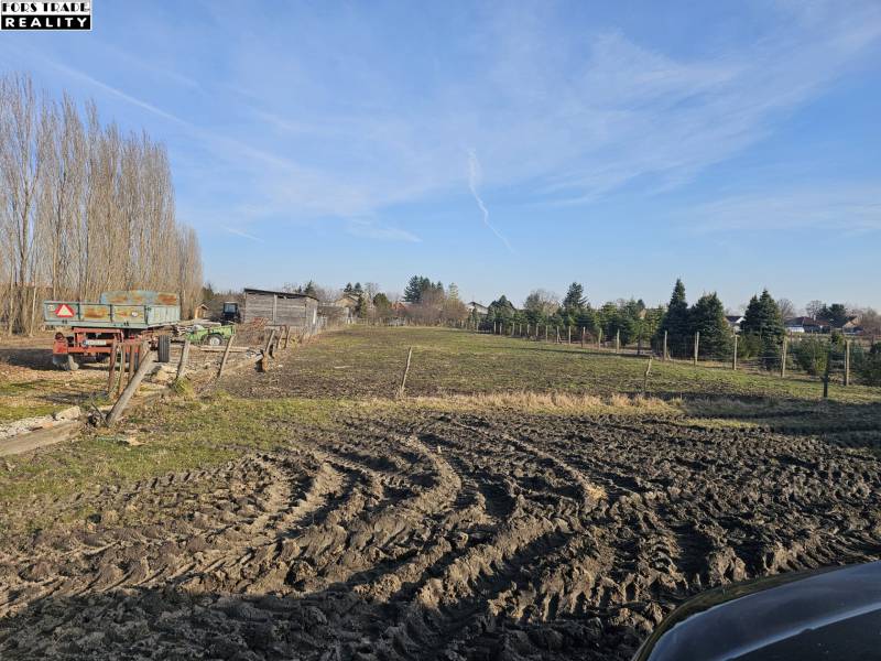 WhatsApp Image 2026-02-27 at 16.59.50 (1).jpeg